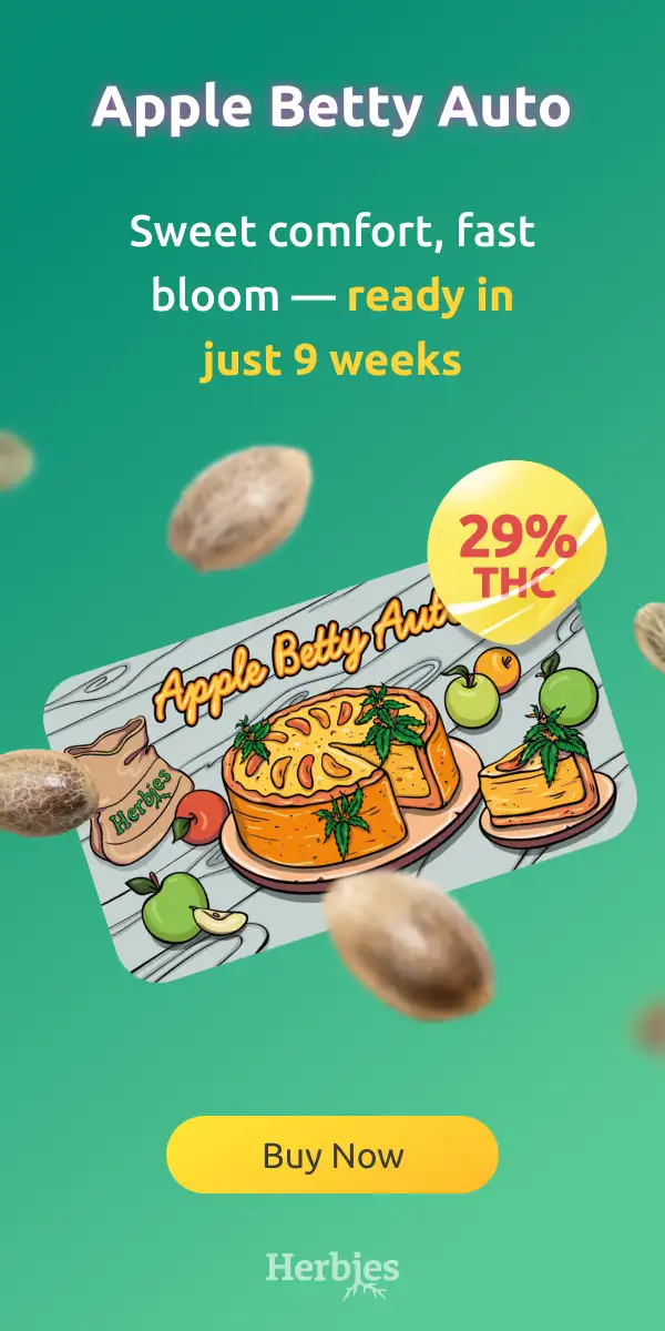 apple_betty_auto_herbies_seeds