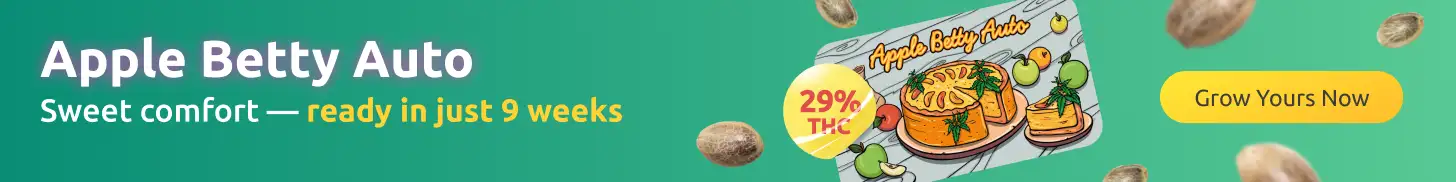 apple_betty_auto_herbies_seeds apple_betty_auto_herbies_seeds
