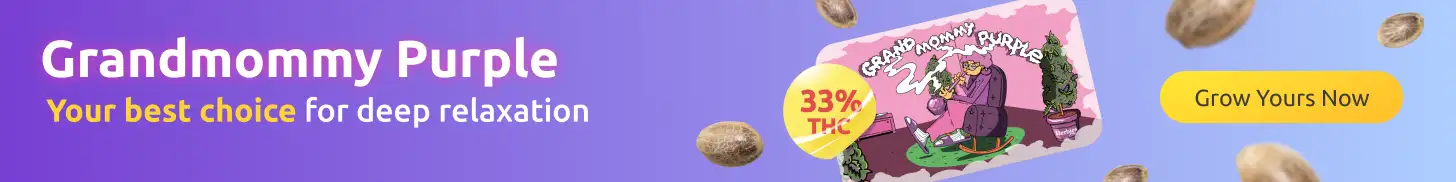 grandmommy_purple_herbies_seeds grandmommy_purple_herbies_seeds